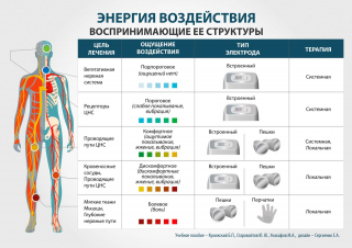 СКЭНАР-1-НТ (исполнение 01)  в Копейске купить Медицинский интернет магазин - denaskardio.ru 